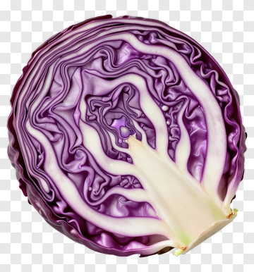 Purple Cabbage Slice PNG