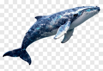 Realistic Blue Whale Swimming PNG