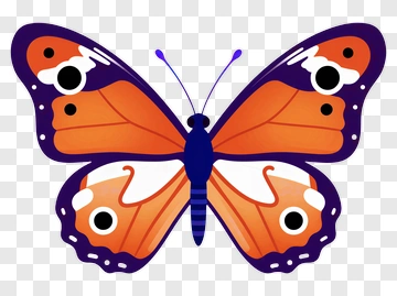 Colorful Butterfly With Orange And Purple Wings PNG