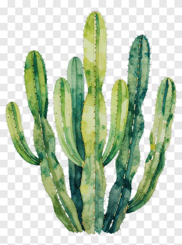 Watercolor Cactus Arrangement PNG