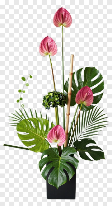 Flower Arrangement With Pink Anthuriums And Green Foliage PNG