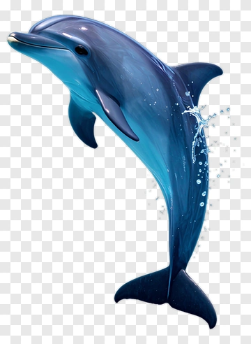 3D Dolphin Jumping Out Of Water PNG