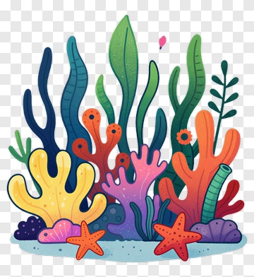 Colorful Coral Reef With Starfish PNG