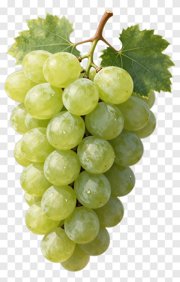 Green Grapes On A Vine PNG