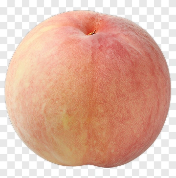 Peach Fruit PNG