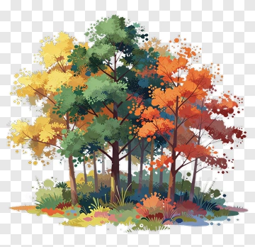 Colorful Autumn Forest PNG