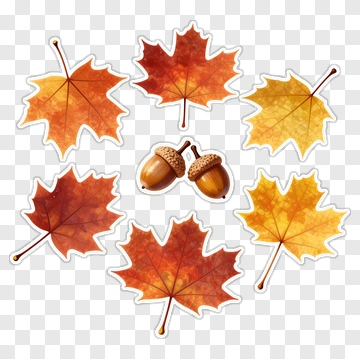 Autumn Leaves And Acorns PNG