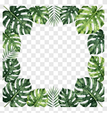 Tropical Leaf Frame PNG