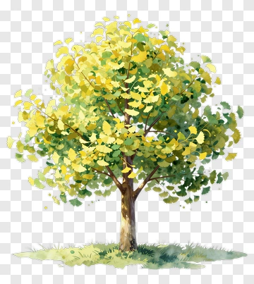 Colorful Tree PNG