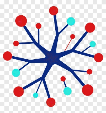 Colorful Network Diagram PNG