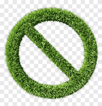 Green Grass No Symbol PNG