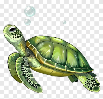 Cartoon Turtle Swimming With Bubbles PNG