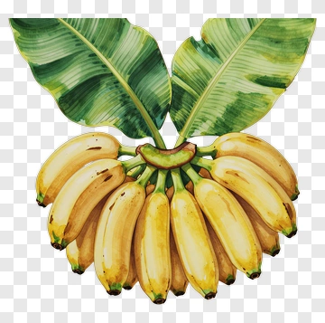 Bunch Of Ripe Bananas With Green Leaves PNG