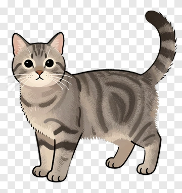 Cartoon Cat PNG