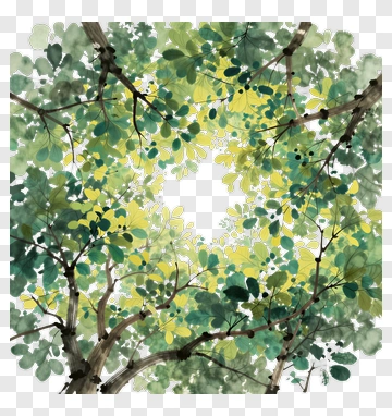 Watercolor Forest Canopy With Green Leaves PNG
