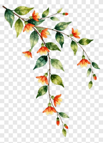 Watercolor Floral Branch With Orange Flowers PNG