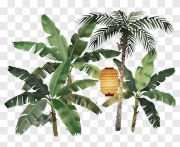 Tropical Plants With Lantern PNG
