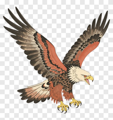 Eagle With Outstretched Wings PNG