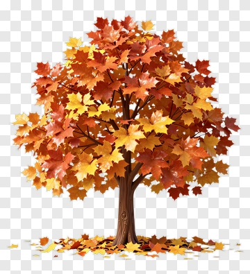 Colorful Tree With Autumn Leaves PNG
