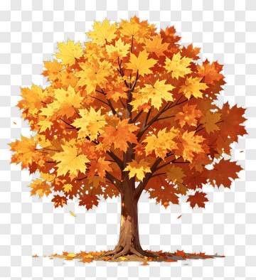 Colorful Maple Tree With Autumn Leaves PNG