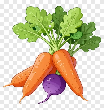 Colorful Carrots And Radish Bunch PNG