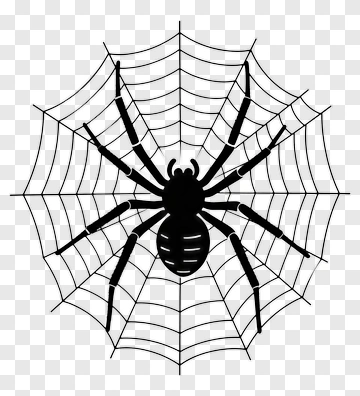 Spider On A Web PNG