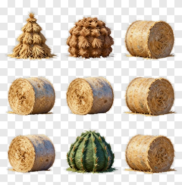 Collection Of Hay Bales And Cacti PNG