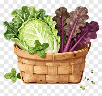 Vegetable Basket With Fresh Greens PNG