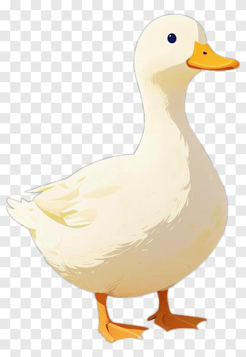 Cartoon Duck PNG