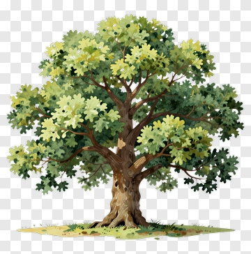 Colorful Tree PNG