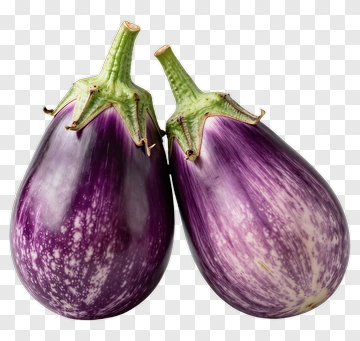 Purple Eggplants PNG