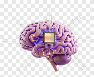 Brain With Microchip And Circuitry PNG