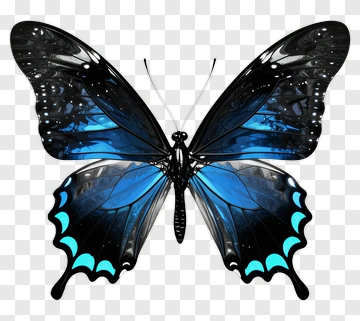 Colorful Butterfly With Blue And Black Wings PNG