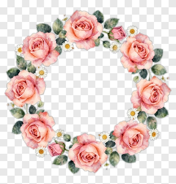 Floral Wreath With Pink Roses And Daisies PNG