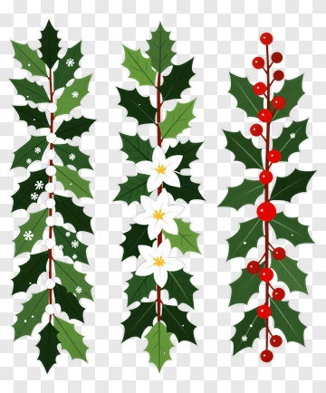Holly Leaves And Berries Decoration PNG