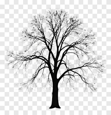 Silhouette Tree With Bare Branches PNG