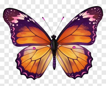 Colorful Butterfly With Orange And Purple Wings PNG