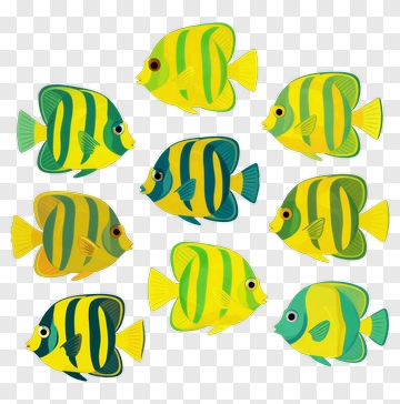 Colorful Fish Group PNG