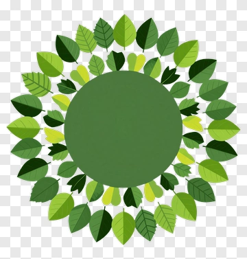 Leafy Green Wreath Design PNG