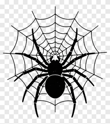Spider On A Web PNG