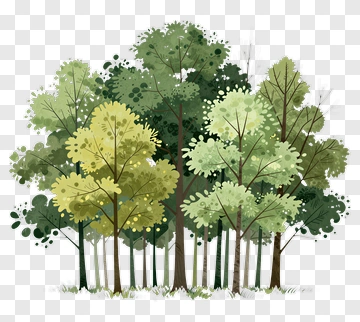 Colorful Tree Group PNG