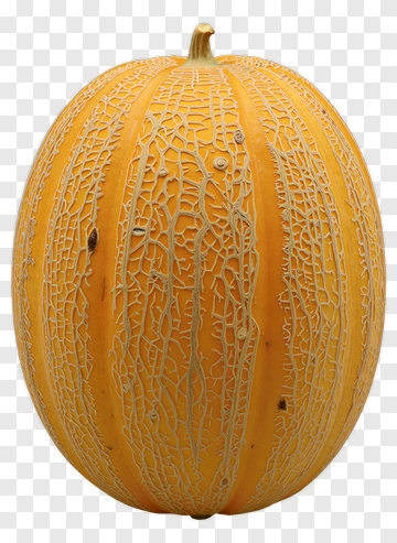 Yellow Melon With Textured Skin PNG