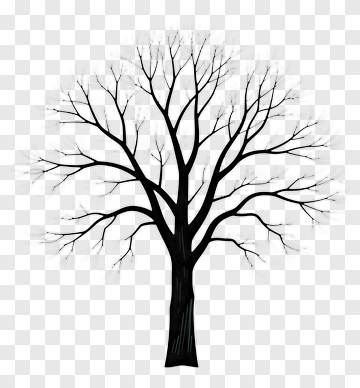 Black Tree With Bare Branches PNG