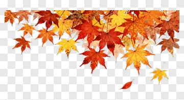 Colorful Autumn Leaves PNG