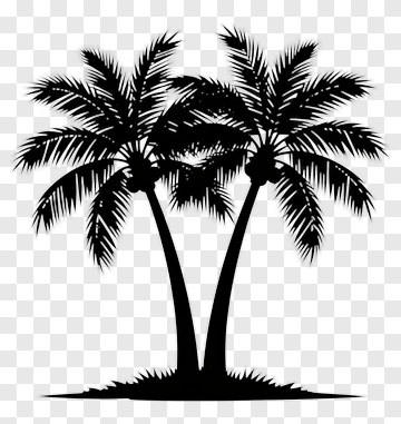 Silhouette Of Two Palm Trees PNG