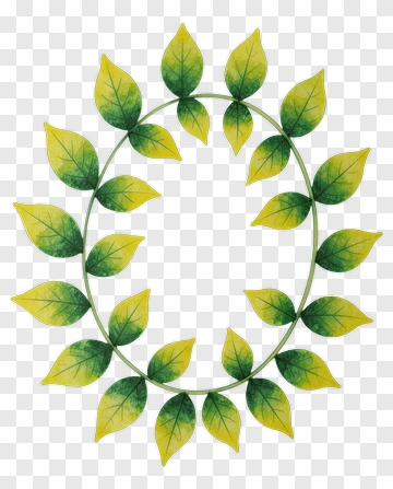 Circular Green Leaf Wreath PNG