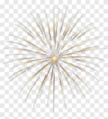 Sparkling Firework Burst PNG