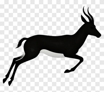 Leaping Black Antelope PNG