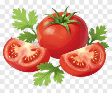 Fresh Tomato With Slices And Cilantro PNG