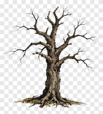 Barren Tree With Twisted Branches PNG